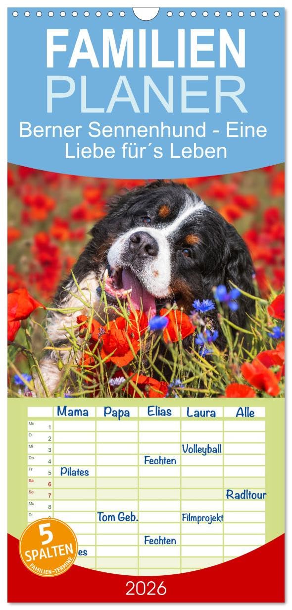 Familienplaner 2026 - Berner Sennenhund - Eine Liebe für´s Leben mit 5 Spalten (Wandkalender, 21 cm x 45 cm), CALVENDO Natural Sciences