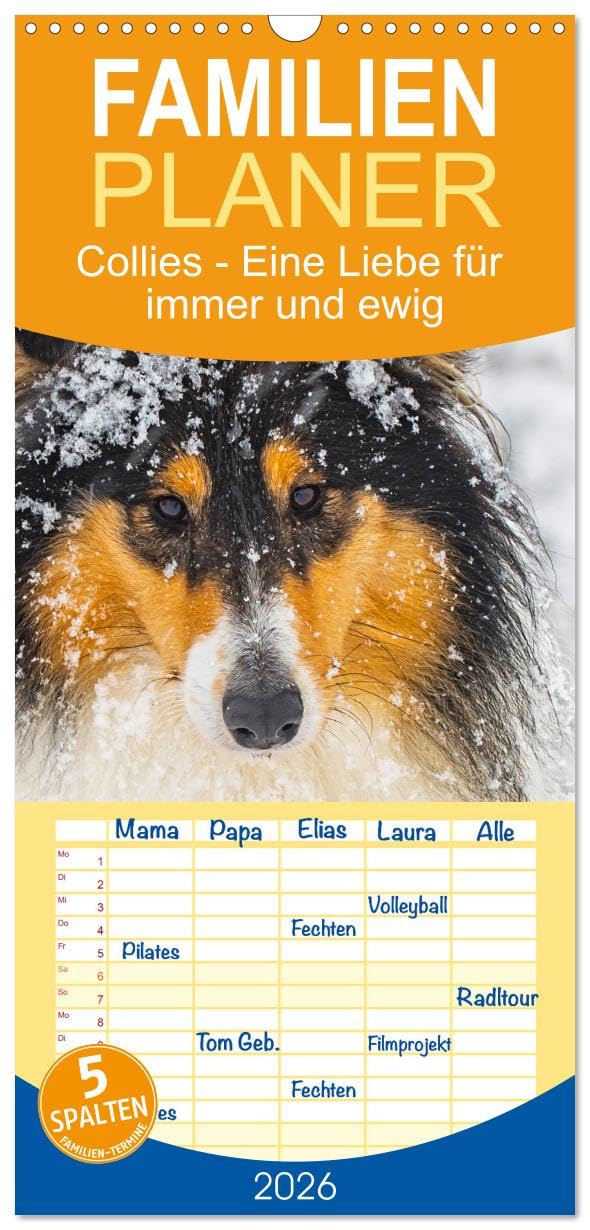 Familienplaner 2026 - Collies - Eine Liebe für immer und ewig mit 5 Spalten (Wandkalender, 21 cm x 45 cm), CALVENDO Natural Sciences
