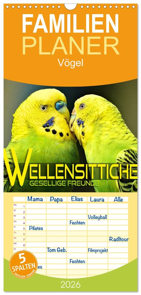 Familienplaner 2026 - Wellensittiche - gesellige Freunde mit 5 Spalten (Wandkalender, 21 cm x 45 cm), CALVENDO Film, Art & Culture