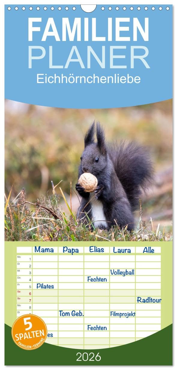 Familienplaner 2026 - Eichhörnchenliebe mit 5 Spalten (Wandkalender, 21 cm x 45 cm), CALVENDO Living & Furnishing