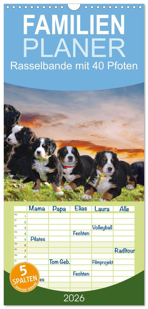 Familienplaner 2026 - Rasselbande mit 40 Pfoten mit 5 Spalten (Wandkalender, 21 cm x 45 cm), CALVENDO Natural Sciences