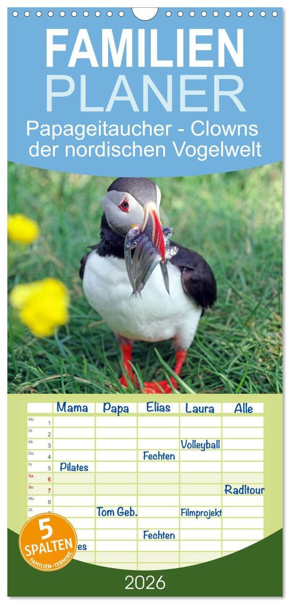 Familienplaner 2026 - Papageitaucher - Clowns der nordischen Vogelwelt mit 5 Spalten (Wandkalender, 21 cm x 45 cm), CALVENDO Natural Sciences
