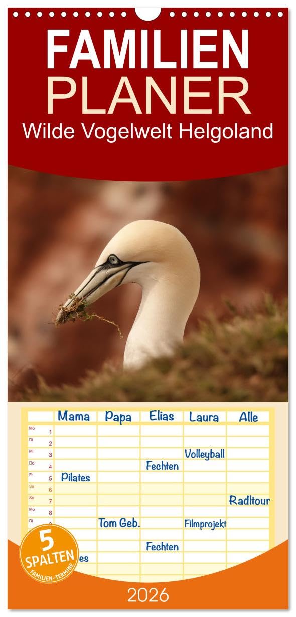 Familienplaner 2026 - Wilde Vogelwelt Helgoland mit 5 Spalten (Wandkalender, 21 cm x 45 cm), CALVENDO Leisure, Home & Garden