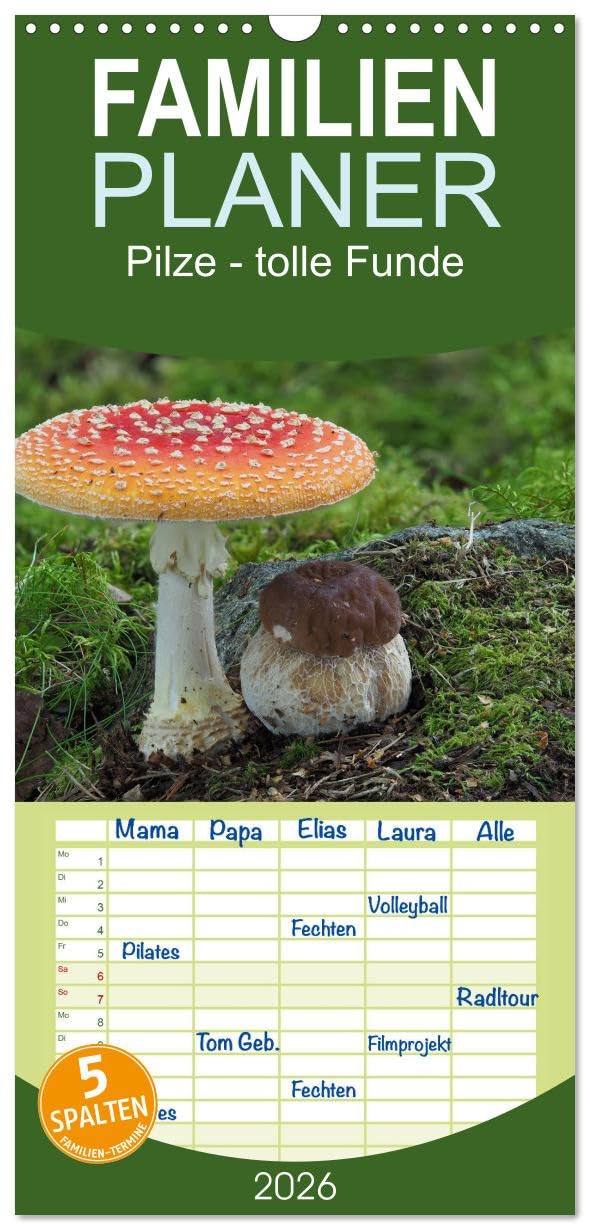 Familienplaner 2026 - Pilze - tolle Funde mit 5 Spalten (Wandkalender, 21 cm x 45 cm), CALVENDO Natural Sciences