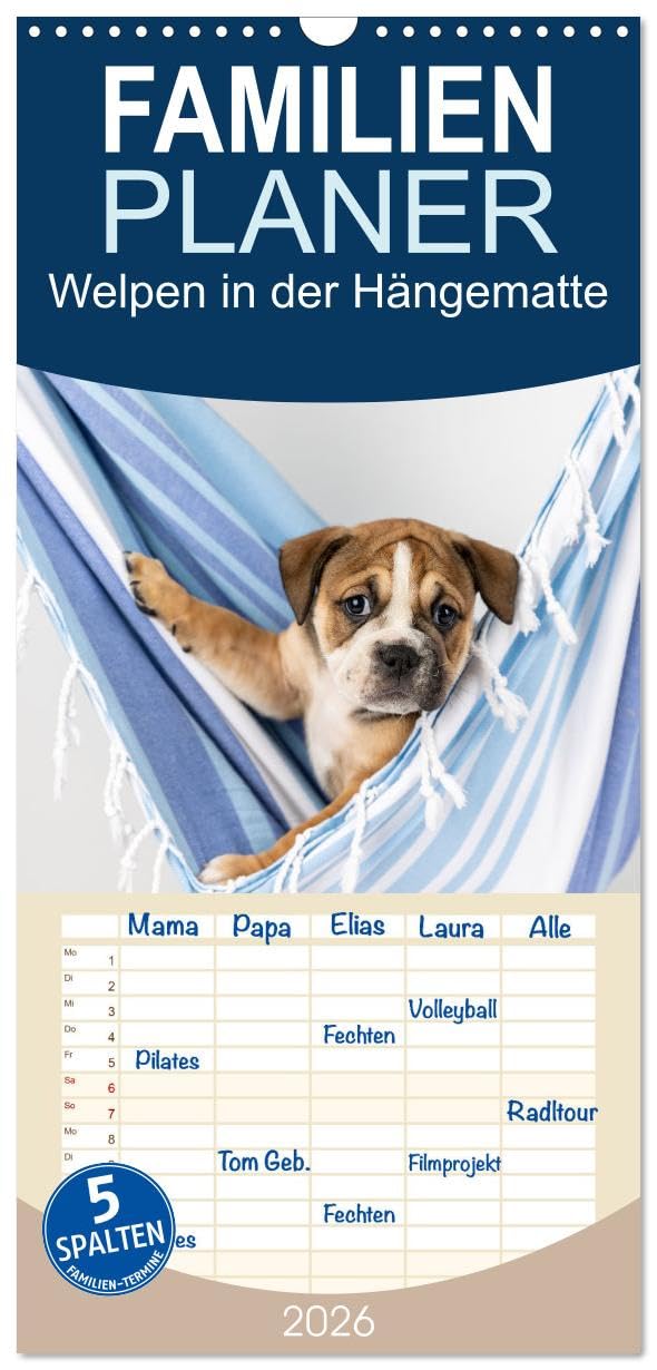 Familienplaner 2026 - Welpen in der Hängematte mit 5 Spalten (Wandkalender, 21 cm x 45 cm), CALVENDO Pets