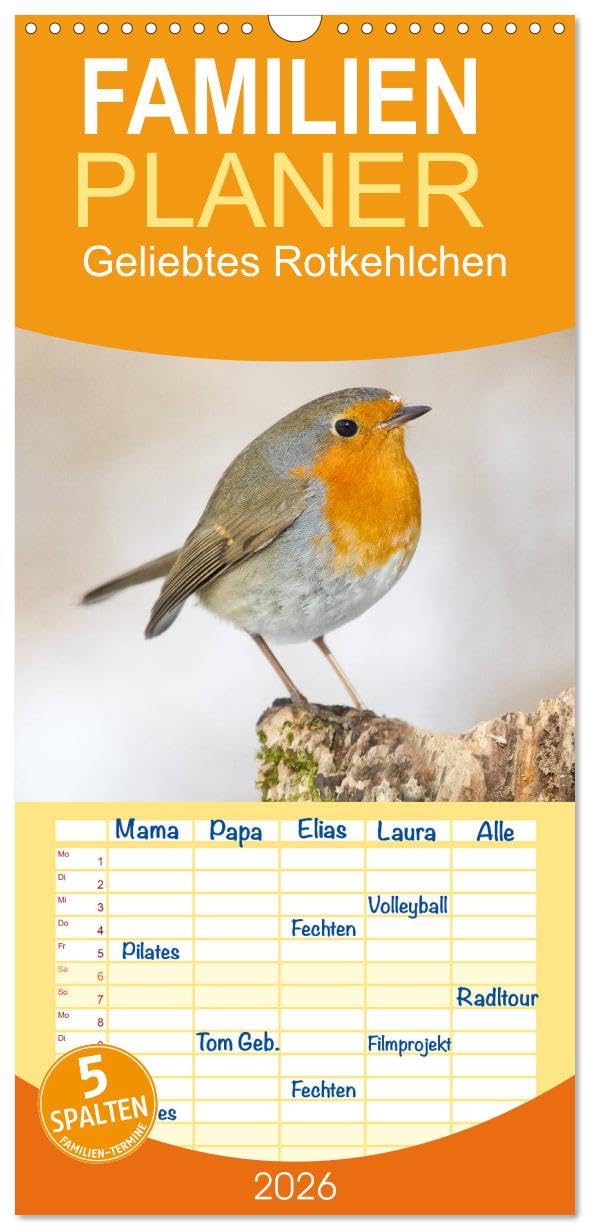 Familienplaner 2026 - Geliebtes Rotkehlchen mit 5 Spalten (Wandkalender, 21 cm x 45 cm), CALVENDO Natural Sciences