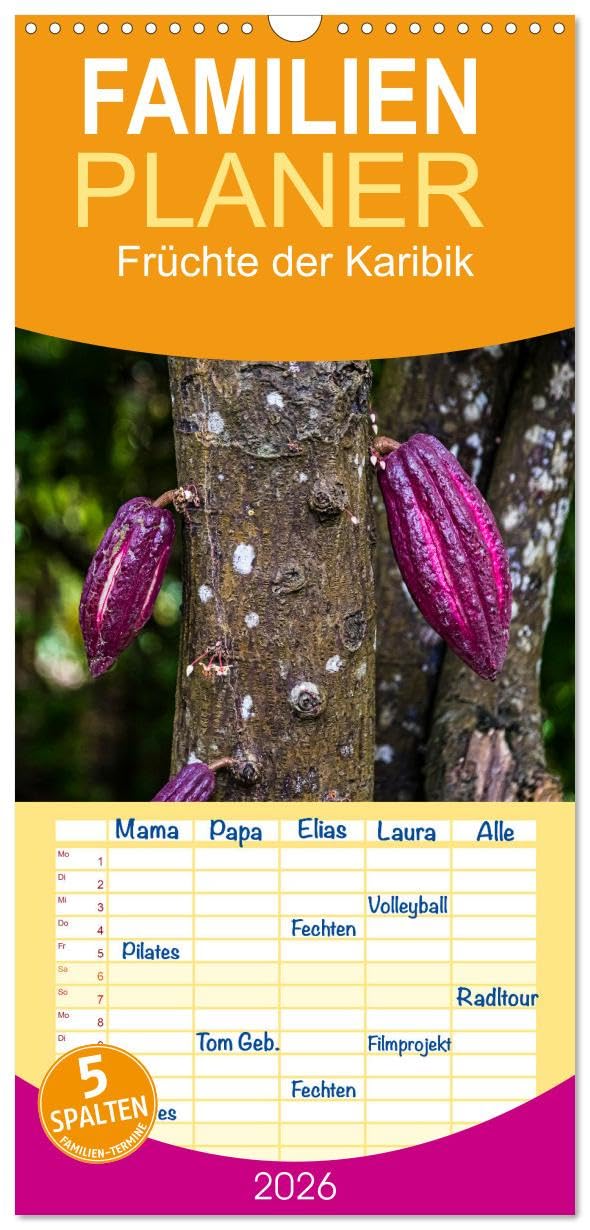 Familienplaner 2026 - Früchte der Karibik mit 5 Spalten (Wandkalender, 21 cm x 45 cm), CALVENDO Calendars