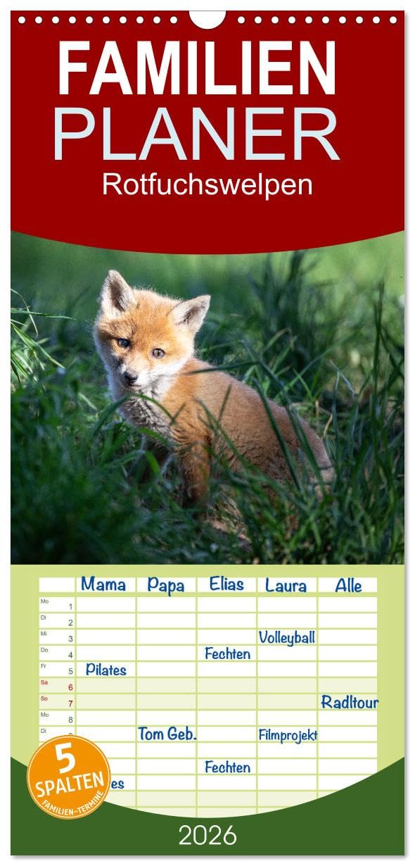 Familienplaner 2026 - Rotfuchswelpen mit 5 Spalten (Wandkalender, 21 cm x 45 cm), CALVENDO Natural Sciences