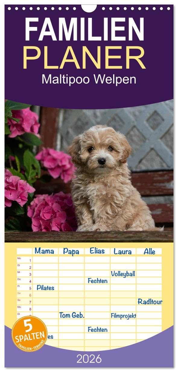 Familienplaner 2026 - Maltipoo Welpen mit 5 Spalten (Wandkalender, 21 cm x 45 cm), CALVENDO Natural Sciences