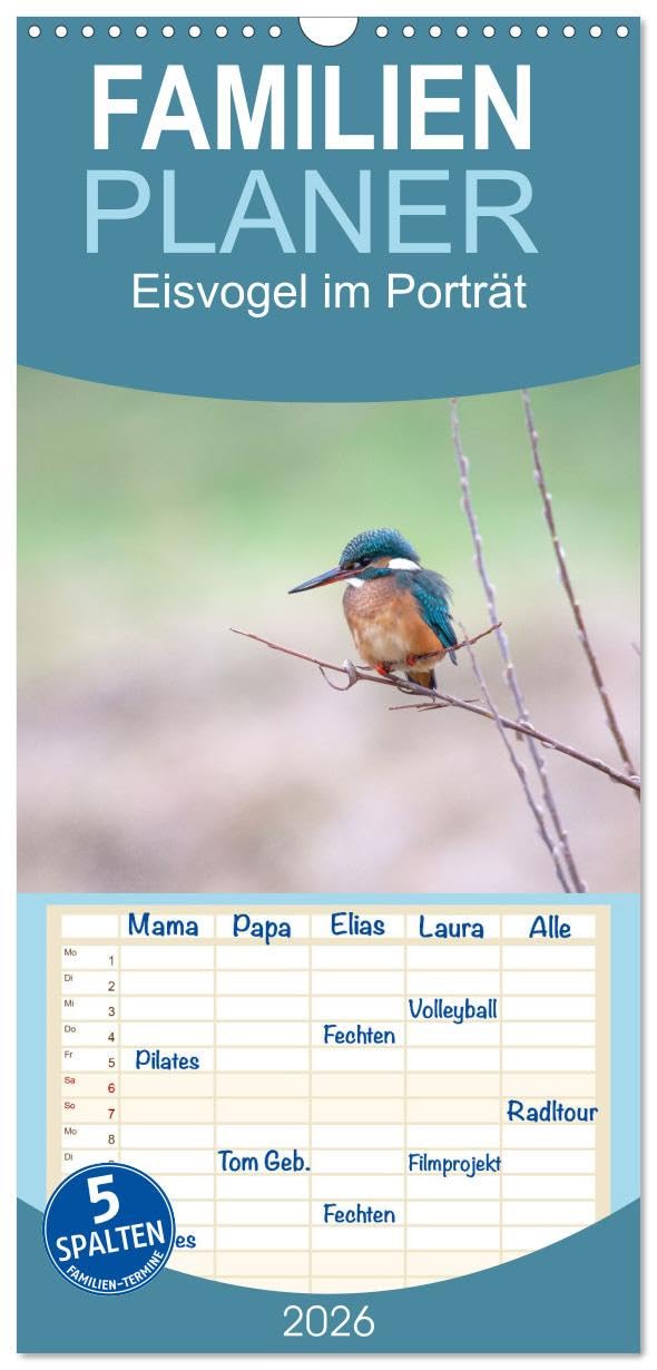Familienplaner 2026 - Eisvogel im Porträt mit 5 Spalten (Wandkalender, 21 cm x 45 cm), CALVENDO Natural Sciences
