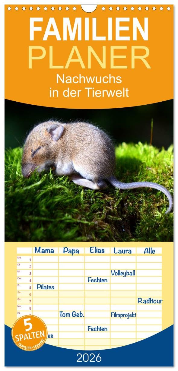 Familienplaner 2026 - Nachwuchs in der Tierwelt mit 5 Spalten (Wandkalender, 21 cm x 45 cm), CALVENDO Natural Sciences