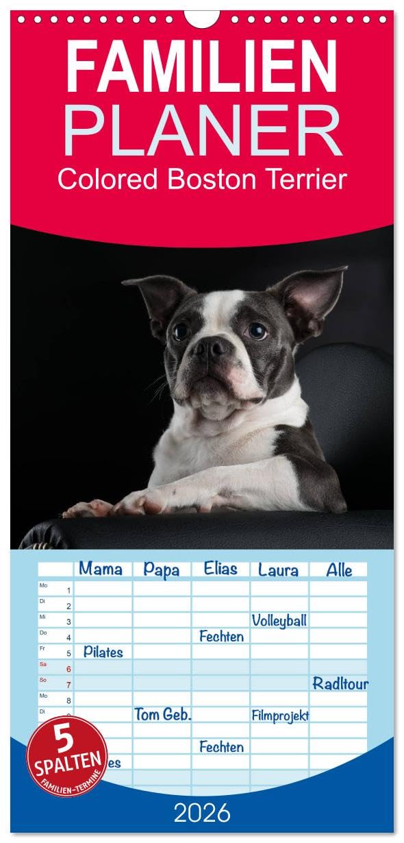 Familienplaner 2026 - Colored Boston Terrier 2026 mit 5 Spalten (Wandkalender, 21 cm x 45 cm), CALVENDO Natural Sciences