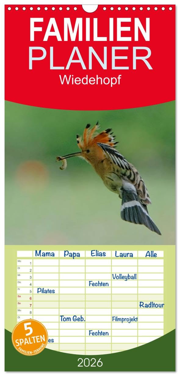 Familienplaner 2026 - Wiedehopf mit 5 Spalten (Wandkalender, 21 cm x 45 cm), CALVENDO Living & Furnishing