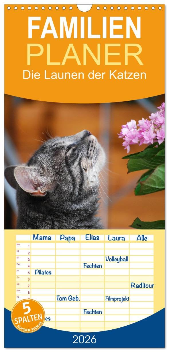 Familienplaner 2026 - Die Launen der Katzen 2026 mit 5 Spalten (Wandkalender, 21 cm x 45 cm), CALVENDO Natural Sciences