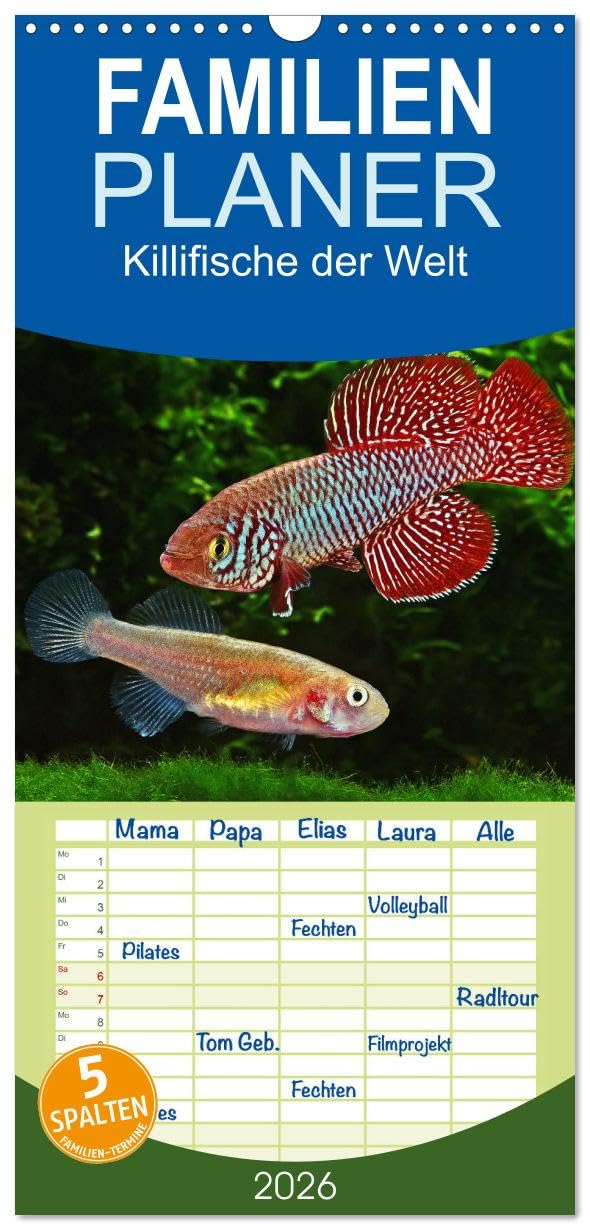 Familienplaner 2026 - Killifische der Welt mit 5 Spalten (Wandkalender, 21 cm x 45 cm), CALVENDO Natural Sciences