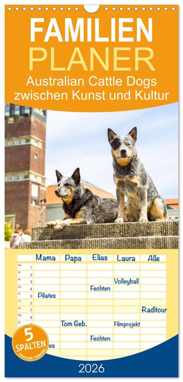 Familienplaner 2026 - Australian Cattle Dogs zwischen Kunst und Kultur mit 5 Spalten (Wandkalender, 21 cm x 45 cm), CALVENDO Arts & Music