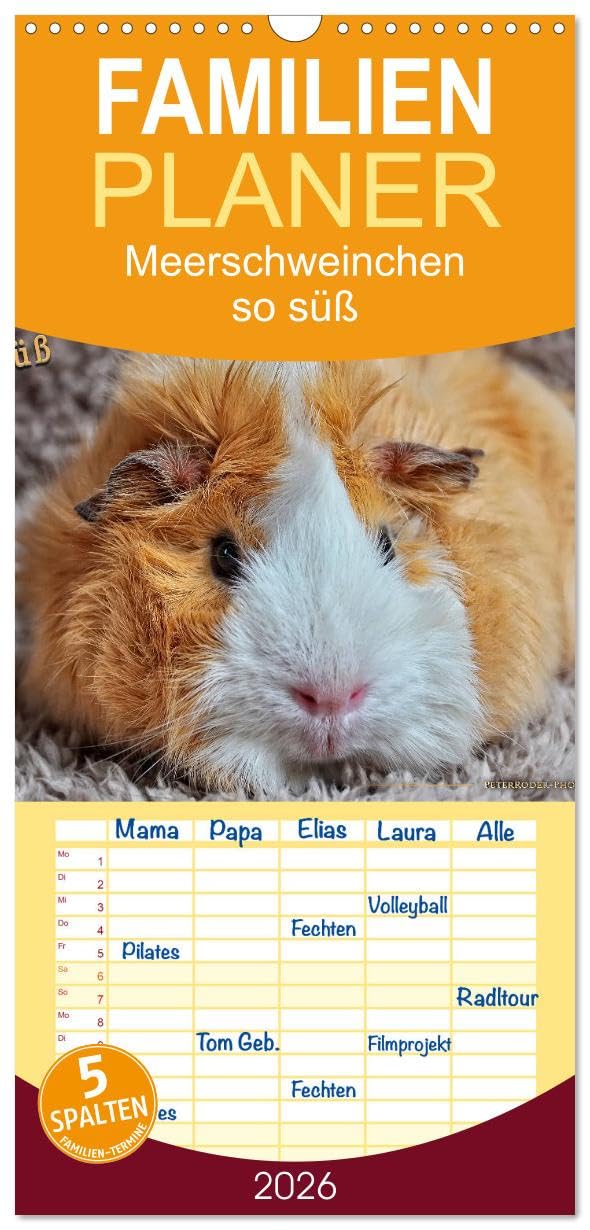 Familienplaner 2026 - Meerschweinchen - so süß mit 5 Spalten (Wandkalender, 21 cm x 45 cm), CALVENDO Living & Furnishing