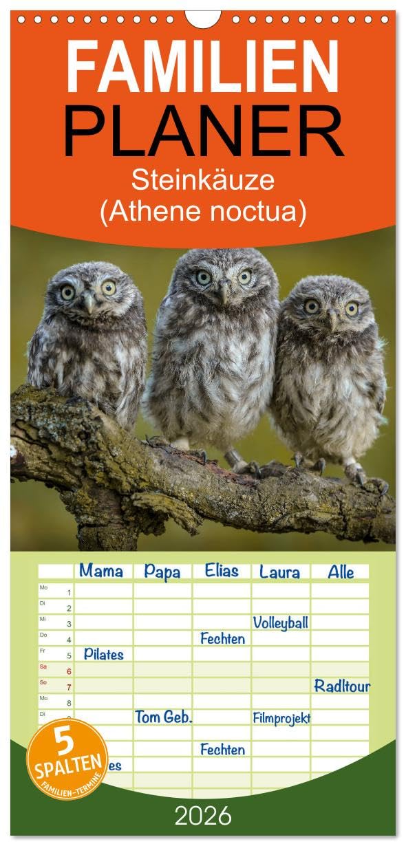 Familienplaner 2026 - Steinkäuze mit 5 Spalten (Wandkalender, 21 cm x 45 cm), CALVENDO Natural Sciences