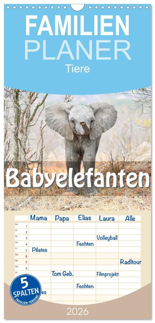 Familienplaner 2026 - Babyelefanten mit 5 Spalten (Wandkalender, 21 cm x 45 cm), CALVENDO Lifestyle