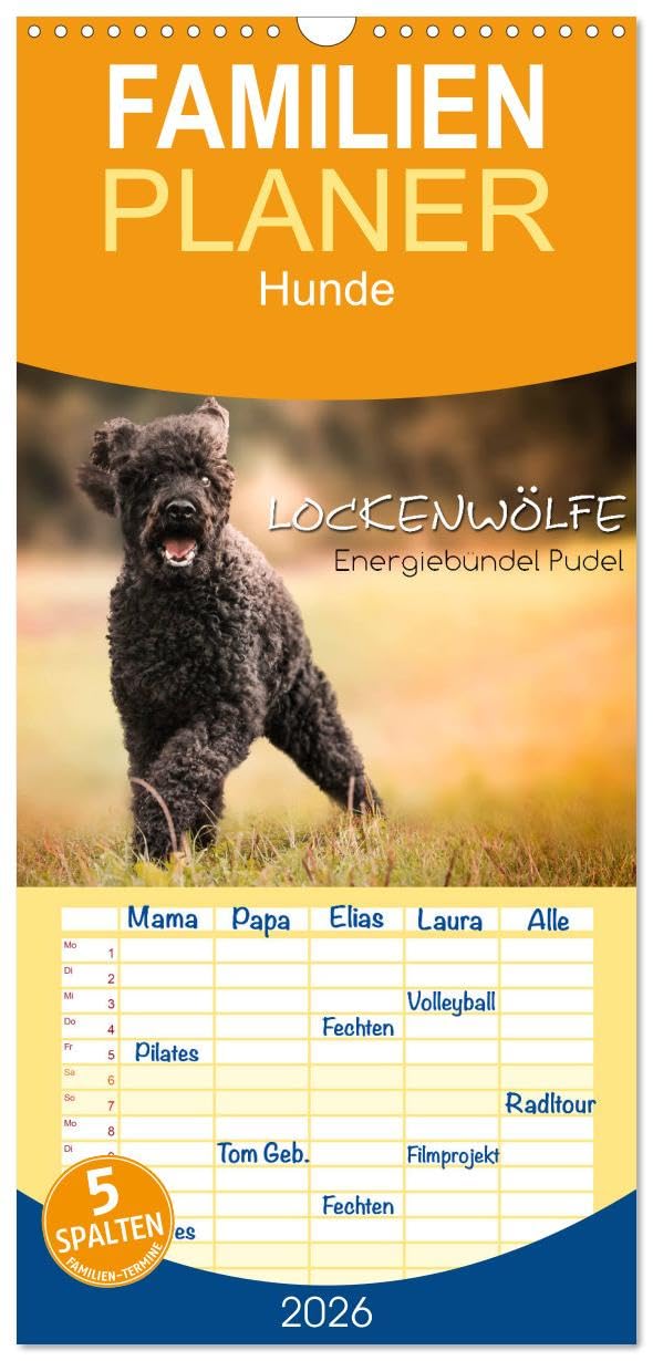 Familienplaner 2026 - Lockenwölfe - Energiebündel Pudel mit 5 Spalten (Wandkalender, 21 cm x 45 cm), CALVENDO Natural Sciences
