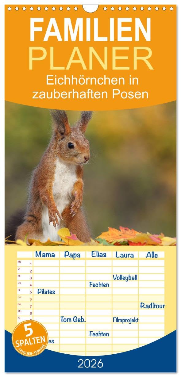 Familienplaner 2026 - Eichhörnchen in zauberhaften Posen mit 5 Spalten (Wandkalender, 21 cm x 45 cm), CALVENDO Natural Sciences