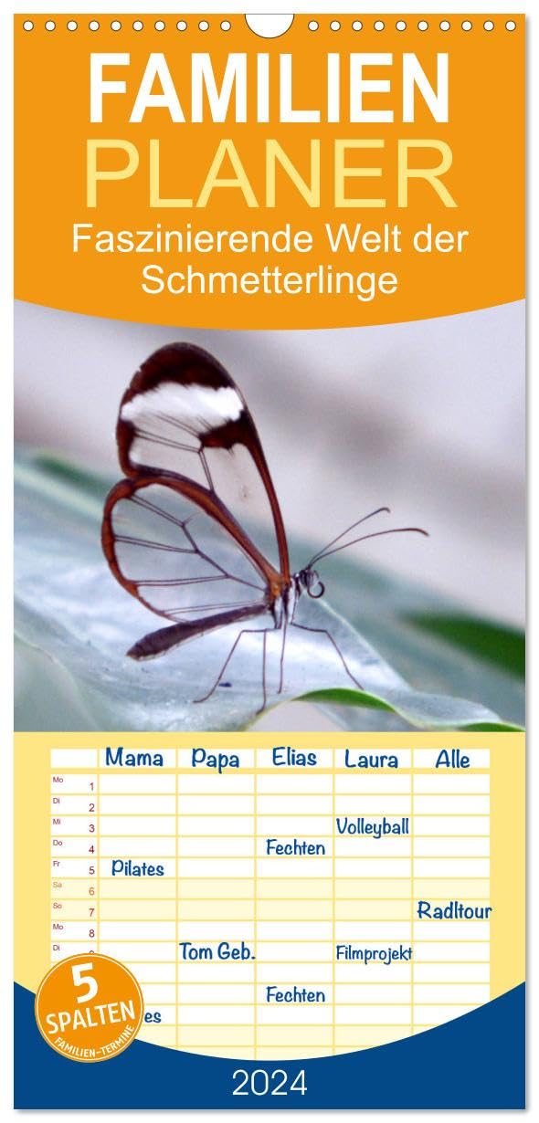 Familienplaner 2026 - Faszinierende Welt der Schmetterlinge mit 5 Spalten (Wandkalender, 21 cm x 45 cm), CALVENDO Natural Sciences