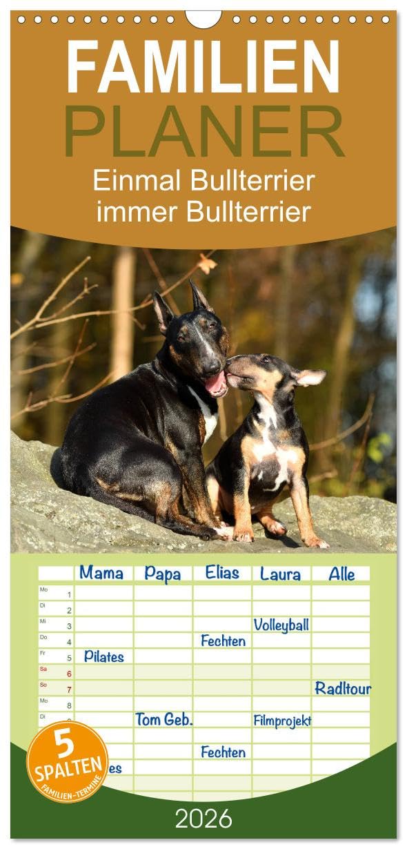 Familienplaner 2026 - Einmal Bullterrier - immer Bullterrier mit 5 Spalten (Wandkalender, 21 cm x 45 cm), CALVENDO Leisure, Home & Garden