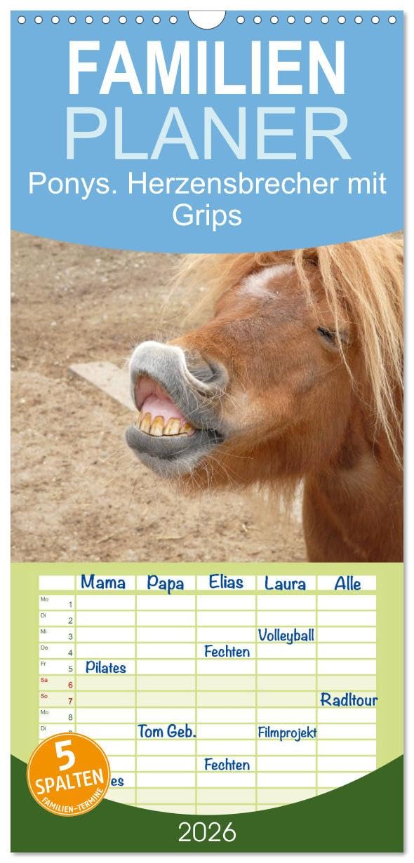 Familienplaner 2026 - Ponys. Herzensbrecher mit Grips mit 5 Spalten (Wandkalender, 21 cm x 45 cm), CALVENDO Film, Art & Culture