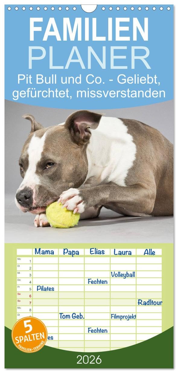 Familienplaner 2026 - Pit Bull und Co. - Geliebt, gefürchtet, missverstanden mit 5 Spalten (Wandkalender, 21 cm x 45 cm), CALVENDO Living & Furnishing