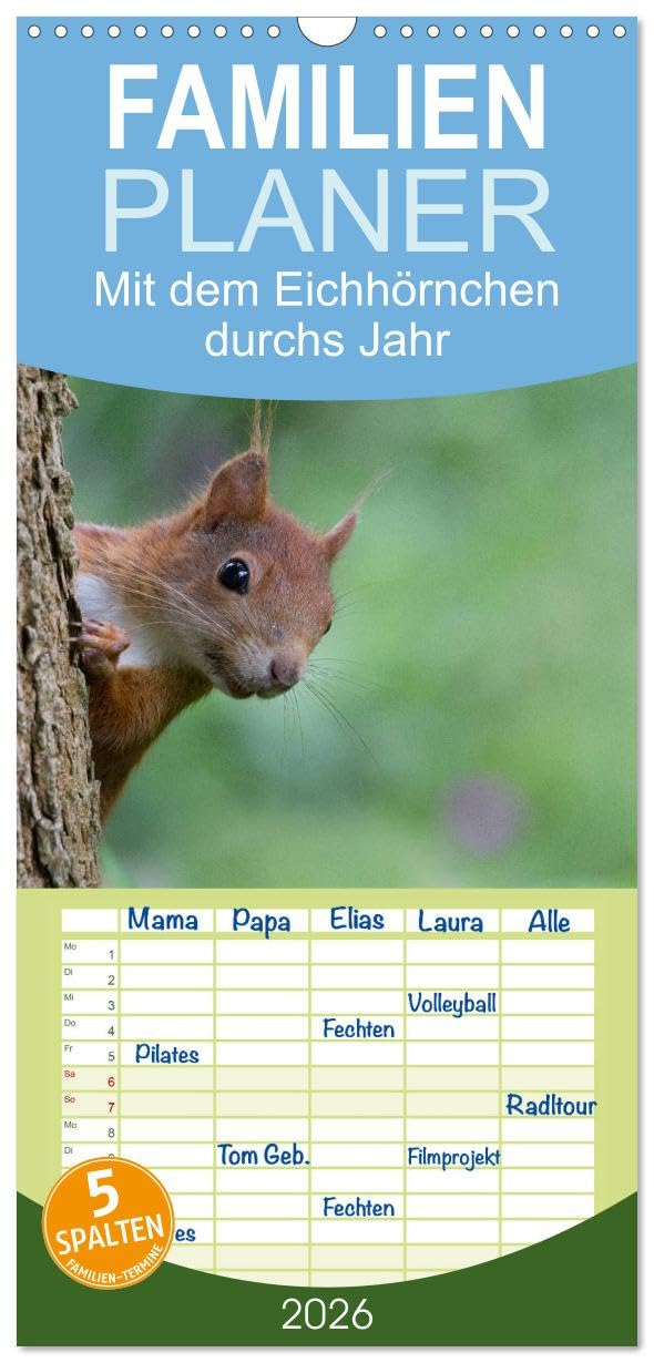 Familienplaner 2026 - Mit dem Eichhörnchen durchs Jahr mit 5 Spalten (Wandkalender, 21 cm x 45 cm), CALVENDO Pets