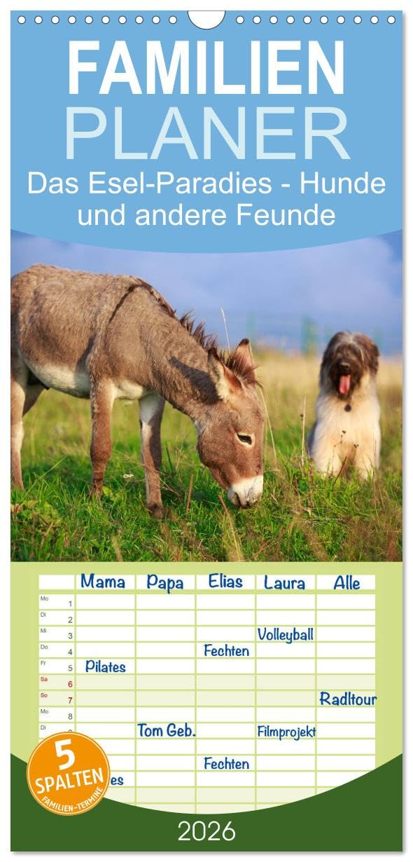 Familienplaner 2026 - Das Esel-Paradies - Hunde und andere Feunde mit 5 Spalten (Wandkalender, 21 cm x 45 cm), CALVENDO Living & Furnishing