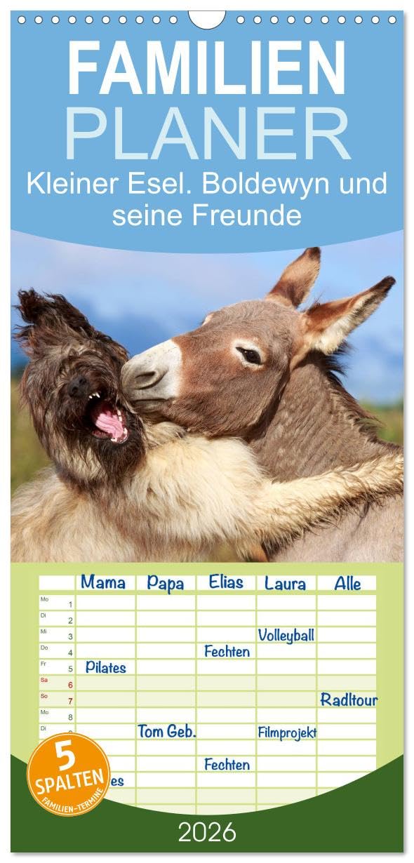 Familienplaner 2026 - Kleiner Esel. Boldewyn und seine Freunde mit 5 Spalten (Wandkalender, 21 cm x 45 cm), CALVENDO Living & Furnishing