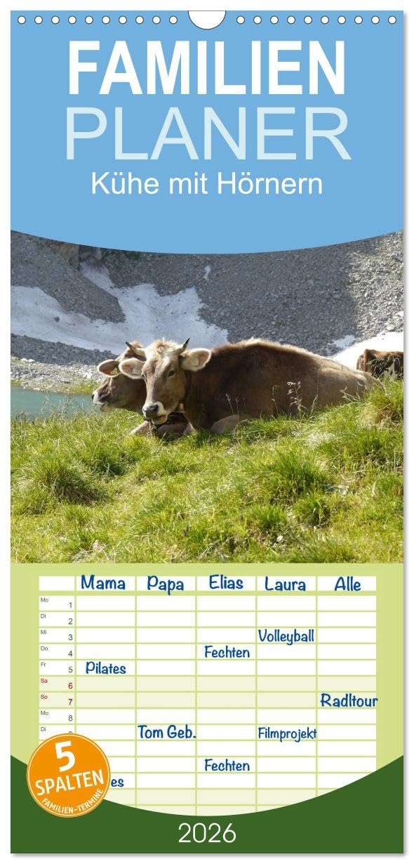 Familienplaner 2026 - Kühe mit Hörnern mit 5 Spalten (Wandkalender, 21 cm x 45 cm), CALVENDO Natural Sciences