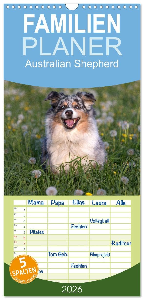 Familienplaner 2026 - Australian Shepherd mit 5 Spalten (Wandkalender, 21 cm x 45 cm), CALVENDO Living & Furnishing
