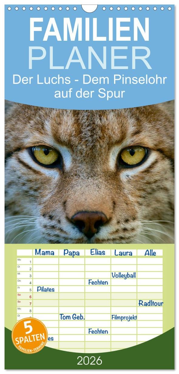Familienplaner 2026 - Der Luchs - Dem Pinselohr auf der Spur mit 5 Spalten (Wandkalender, 21 cm x 45 cm), CALVENDO Natural Sciences