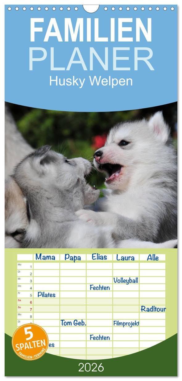 Familienplaner 2026 - Husky Welpen mit 5 Spalten (Wandkalender, 21 cm x 45 cm), CALVENDO Leisure, Home & Garden