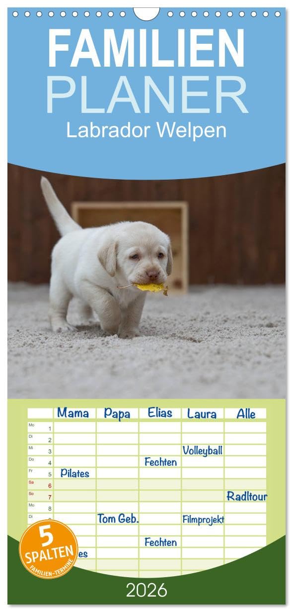 Familienplaner 2026 - Labrador Welpen mit 5 Spalten (Wandkalender, 21 cm x 45 cm), CALVENDO Social Sciences