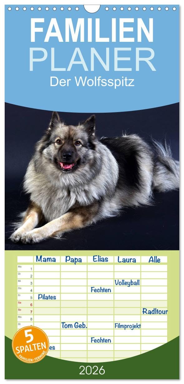 Familienplaner 2026 - Der Wolfsspitz mit 5 Spalten (Wandkalender, 21 cm x 45 cm), CALVENDO Natural Sciences