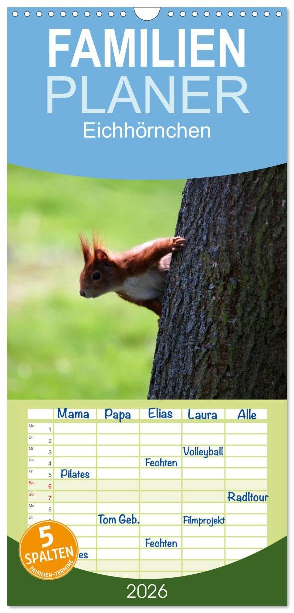 Familienplaner 2026 - Eichhörnchen mit 5 Spalten (Wandkalender, 21 cm x 45 cm), CALVENDO Living & Furnishing