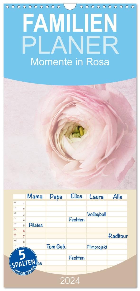 Familienplaner 2026 - Momente in Rosa mit 5 Spalten (Wandkalender, 21 cm x 45 cm), CALVENDO Social Sciences