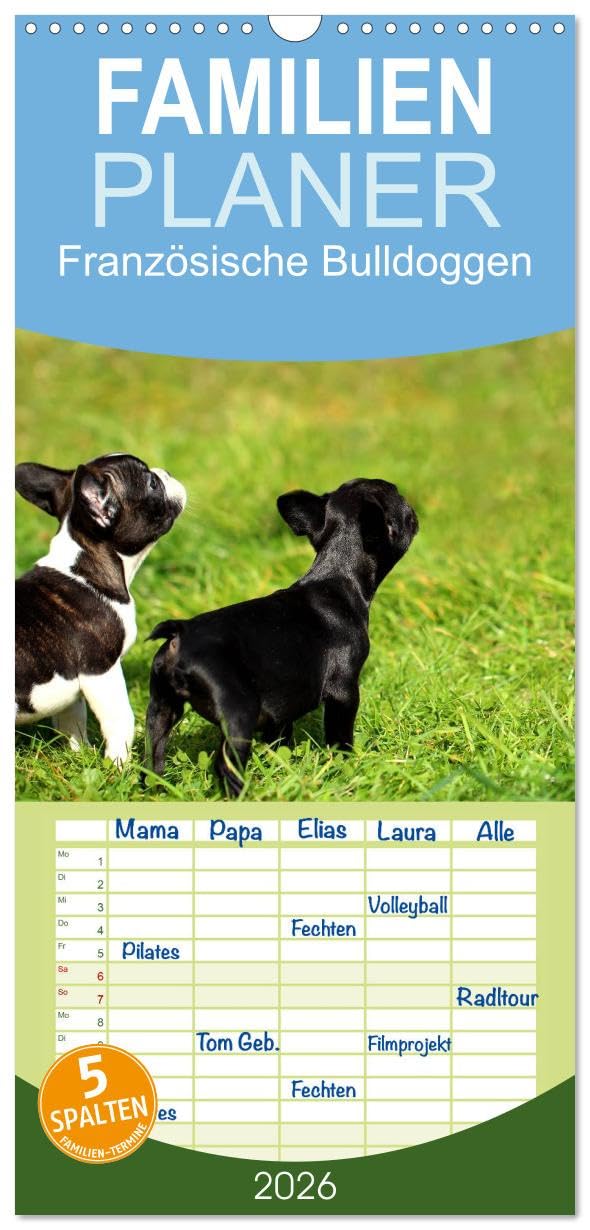 Familienplaner 2026 - Französische Bulldoggen mit 5 Spalten (Wandkalender, 21 cm x 45 cm), CALVENDO Natural Sciences