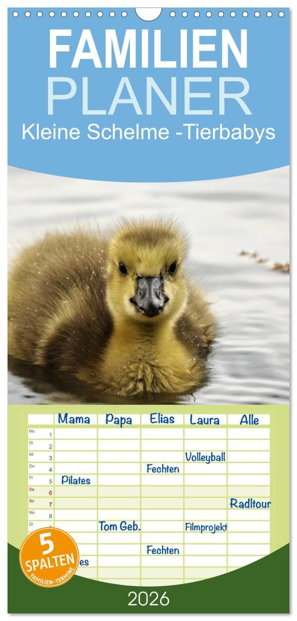 Familienplaner 2026 - Kleine Schelme - Tierbabys mit 5 Spalten (Wandkalender, 21 cm x 45 cm), CALVENDO Natural Sciences