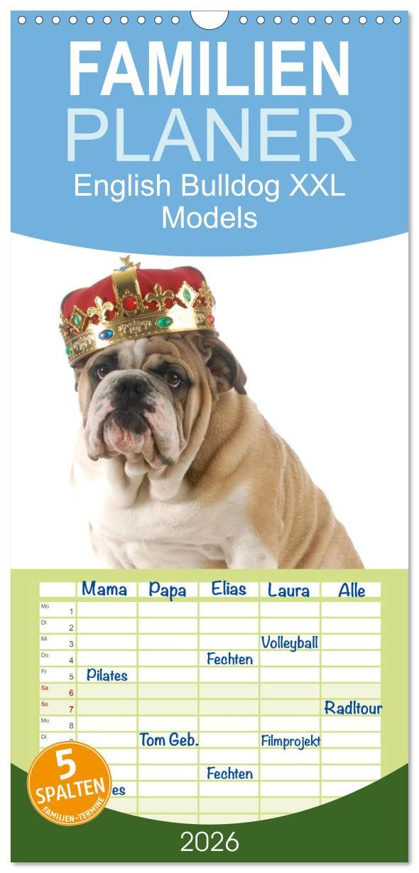 Familienplaner 2026 - English Bulldog XXL Models mit 5 Spalten (Wandkalender, 21 cm x 45 cm), CALVENDO Living & Furnishing