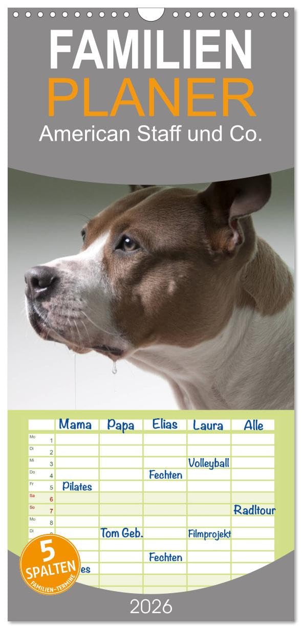 Familienplaner 2026 - American Staff und Co. mit 5 Spalten (Wandkalender, 21 cm x 45 cm), CALVENDO Social Sciences