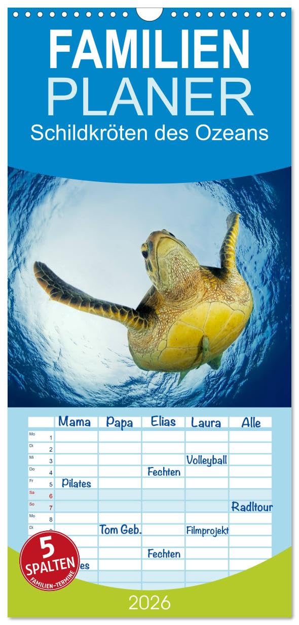 Familienplaner 2026 - Schildkröten des Ozeans mit 5 Spalten (Wandkalender, 21 cm x 45 cm), CALVENDO Natural Sciences