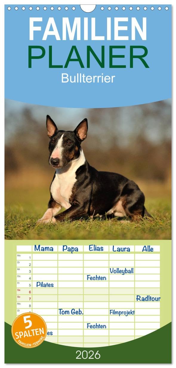 Familienplaner 2026 - Bullterrier 2026 - Kleine Clowns mit großem Herz mit 5 Spalten (Wandkalender, 21 cm x 45 cm), CALVENDO Leisure, Home & Garden