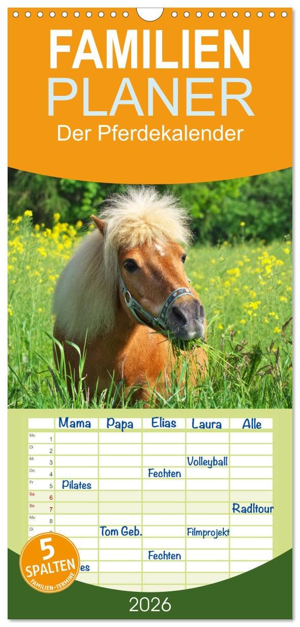 Familienplaner 2026 - Der Pferdekalender mit 5 Spalten (Wandkalender, 21 cm x 45 cm), CALVENDO Natural Sciences
