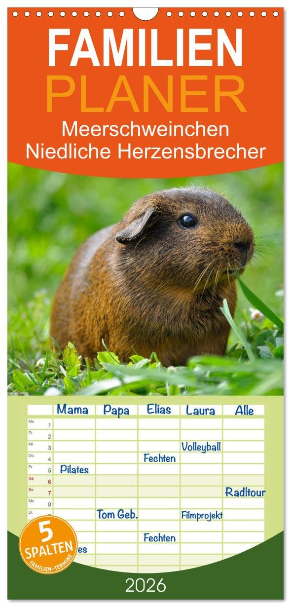 Familienplaner 2026 - Meerschweinchen Niedliche Herzensbrecher mit 5 Spalten (Wandkalender, 21 cm x 45 cm), CALVENDO Film, Art & Culture