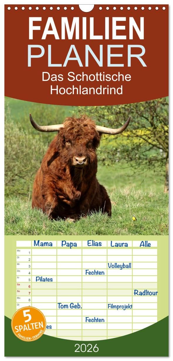 Familienplaner 2026 - Das Schottische Hochlandrind mit 5 Spalten (Wandkalender, 21 cm x 45 cm), CALVENDO Natural Sciences