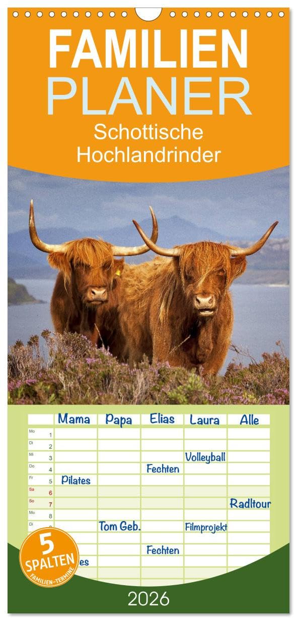 Familienplaner 2026 - Schottische Hochlandrinder. Freundlich, schön und robust mit 5 Spalten (Wandkalender, 21 cm x 45 cm), CALVENDO Living & Furnishing